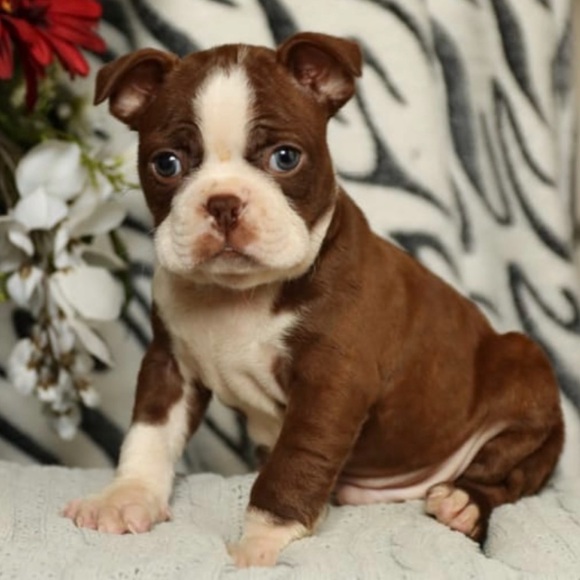 SHARE SHOW ❤️ Like to Get Notified 🔥✨ - Picture 5 of 8